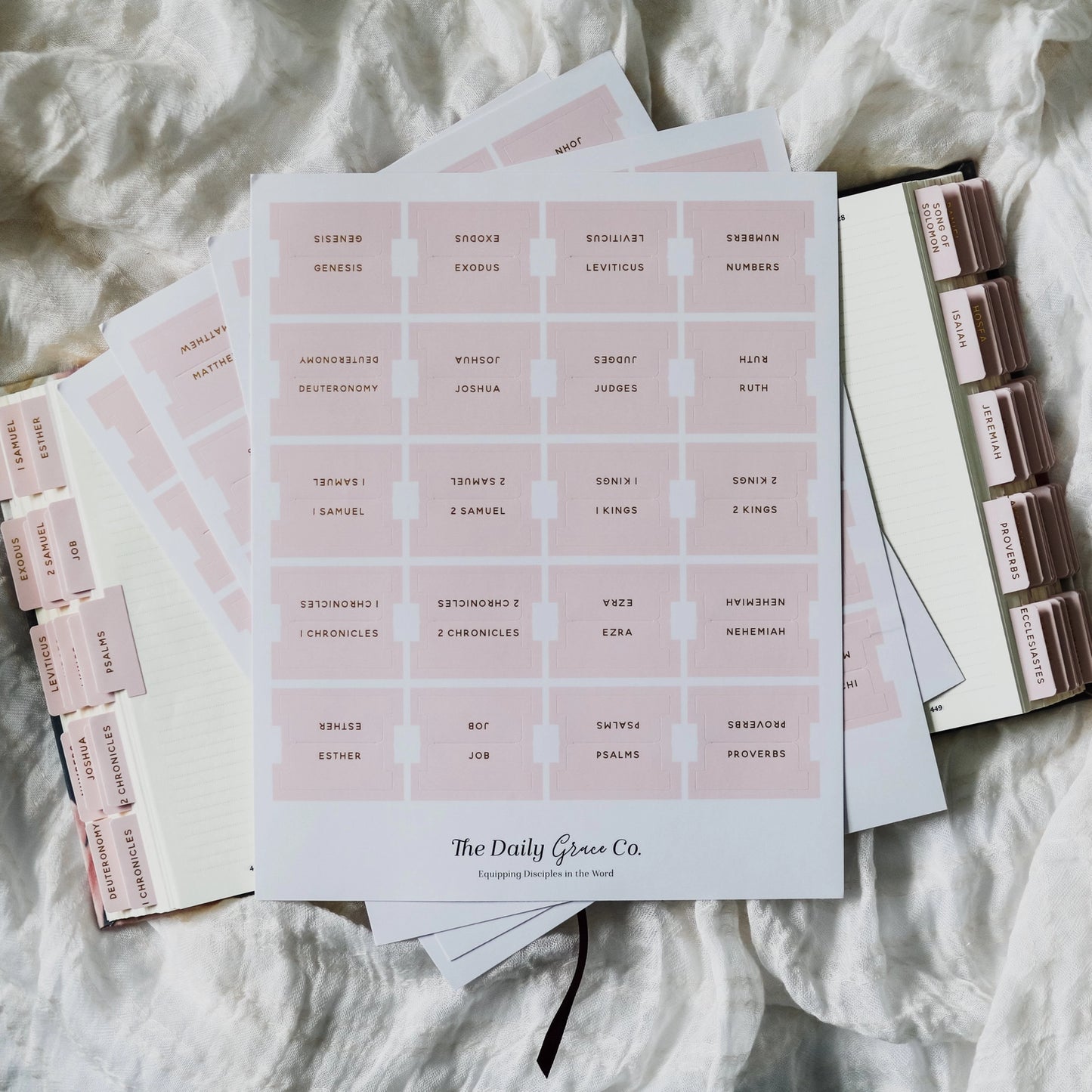 Loving God | Bible Tabs Light Pink